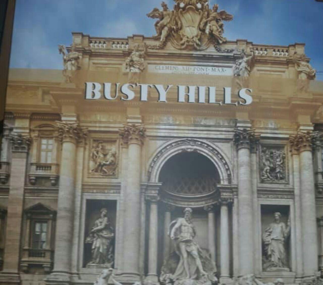 آلبوم کاغذدیواری باستی هیلز, BUSTY HILLS